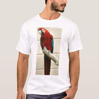 Scharlachrot Macaw- T-Shirt