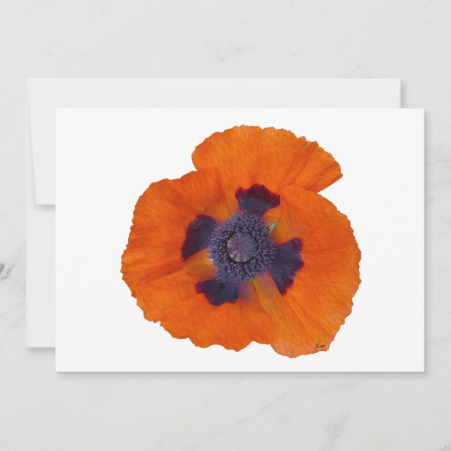 Scharlachrot Orange Poppy 1 (Vorderseite)