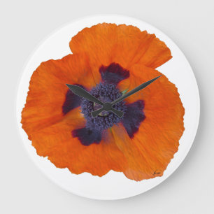 Scharlachrot Orange Poppy 1 Große Wanduhr