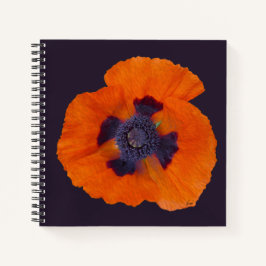 Scharlachrot Orange Poppy 1 Notizbuch