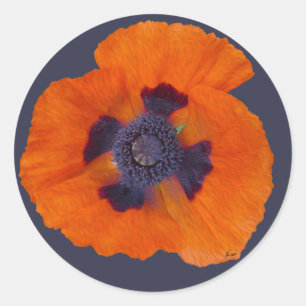 Scharlachrot Orange Poppy 1 Runder Aufkleber