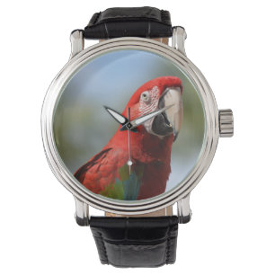 Scharlachrot Rotmacaw- Armbanduhr