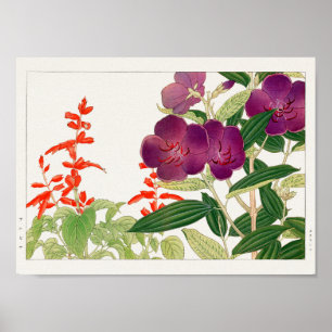 Scharlachrot Salbei, Melastom von Tanigami Konan Poster