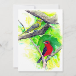 Scharlachrote Tanager Vögel Aquarellmalerei Dankeskarte