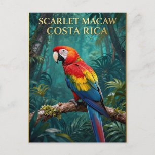 🌴 Scharlachroter Ara Kostarikanische Tierwelt Postkarte
