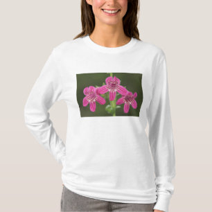 Scharlachroter Penstemon, Penstemon triflorus, T-Shirt