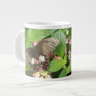 Scharlachrotes Frack Schmetterling Makro Tasse