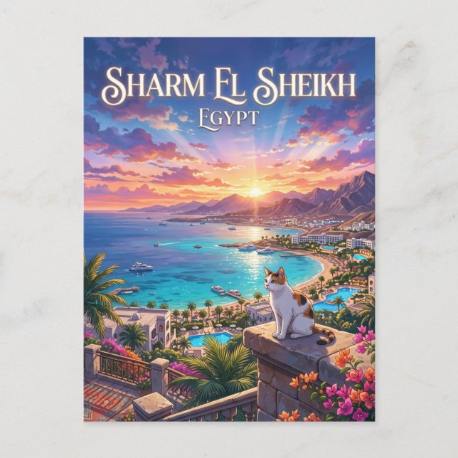 Scharm El-Scheich Ägypten Postkarte (Vorderseite)