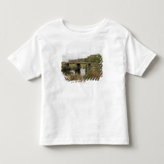 Scharnierventil-Brücke in Dartmoor Nationalpark Kleinkind T-shirt