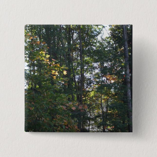 Schatten der Herbstbaumen Button (Vorderseite)