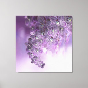 Schatten der Lila Orchideen von Violet Leinwanddruck