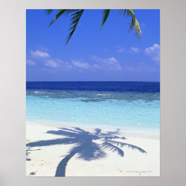 Schatten der Palme Poster (Vorne)