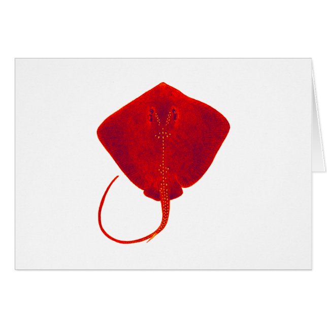 SCHATTEN DES ROTES (Vorderseite (Horizontal))