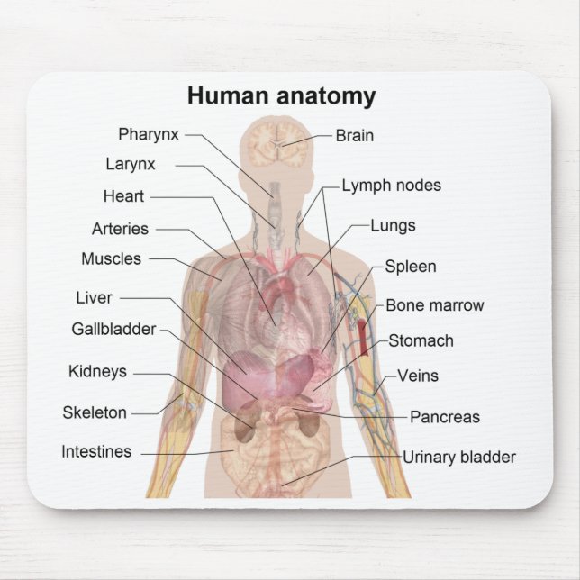 Schatten-Diagramm der menschlichen Anatomie Mousepad (Vorne)