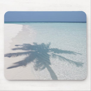 Schatten einer Palme auf einem verlassenen Mousepad