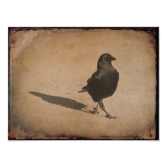 Schatten Fotodruck (Vorne)
