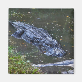 Schatten in den Untiefen Magnet