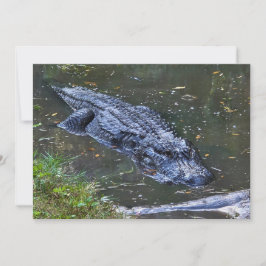 Schatten in den Untiefen Mitteilungskarte