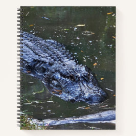 Schatten in den Untiefen Notizbuch