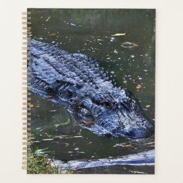 Schatten in den Untiefen Planer