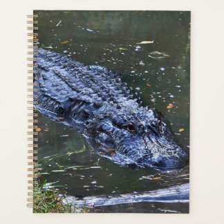 Schatten in den Untiefen Planer