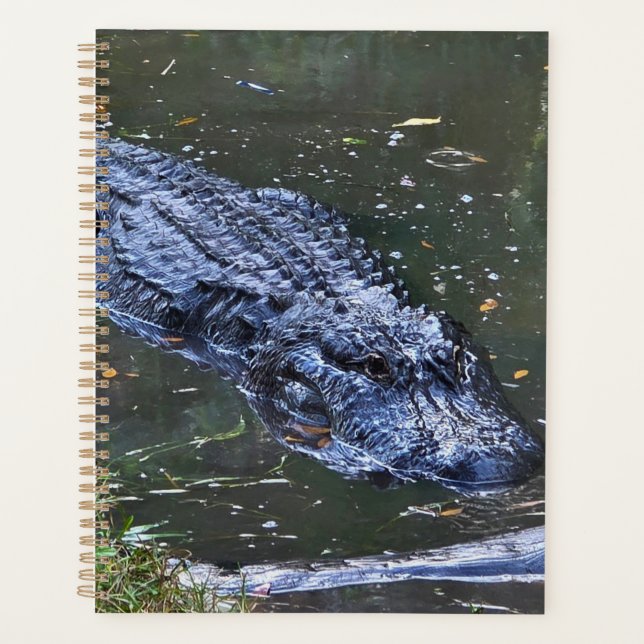 Schatten in den Untiefen Planer (Vorderseite)