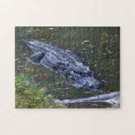 Schatten in den Untiefen Puzzle