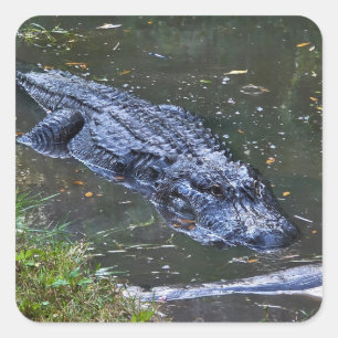 Schatten in den Untiefen Quadratischer Aufkleber