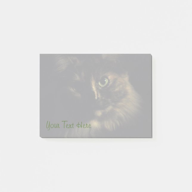 Schatten-Katzen-Kunst-Fotografie-grüne Post-it Klebezettel (Vorderseite)