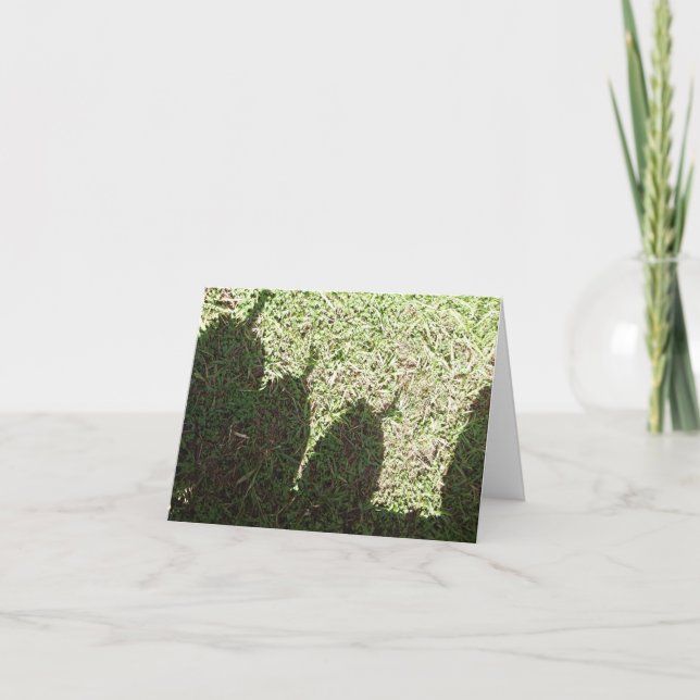 Schatten-Kürbise Karte (Vorderseite)