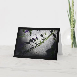 Schatten - Sympathiekarten Dankeskarte