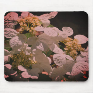 Schatten und leichte Lacecap Hydrangea-Blume Mousepad