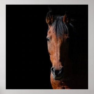 Schattenpferd Poster