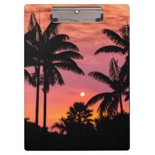 Schattenrisse von Palmen, Hawaii Klemmbrett