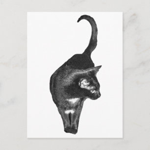 Schattierte Katze jubelt Postkarte