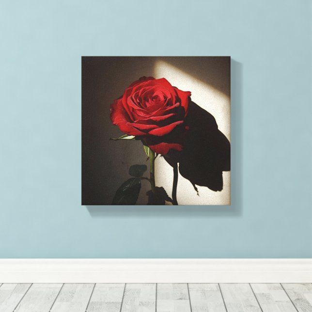 Schattierte Rote Rose - Dramatischer Chiaroscuro F Leinwanddruck (Insitu (Holzboden))