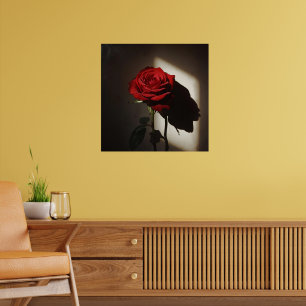 Schattierte Rote Rose - Dramatischer Chiaroscuro F Poster