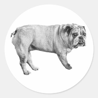 Schattierter Bulldogsticker Runder Aufkleber