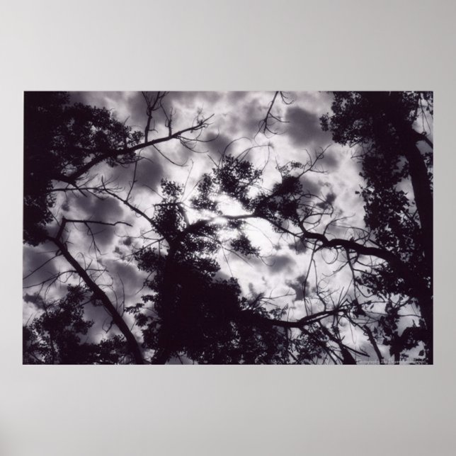 schattig poster (Vorne)