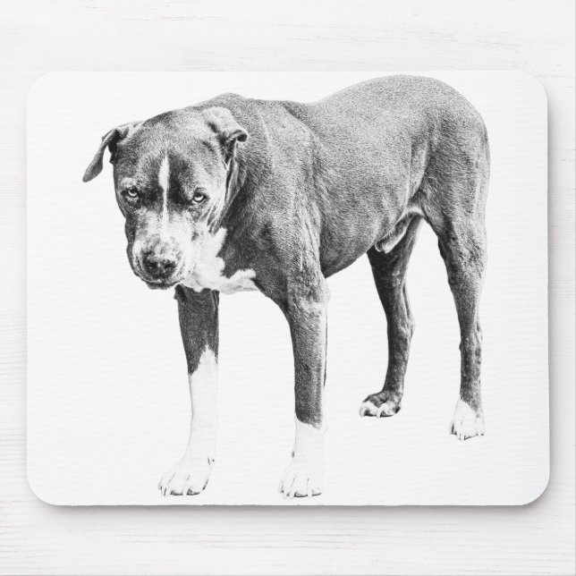 Schattige Pit Bull-Schreibtisch Mousepad (Vorne)