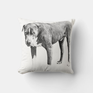Schattiges Pit Bull Sofa Kissen