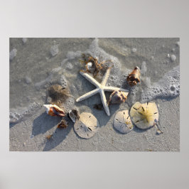 Schätze am Strand Poster
