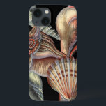 Schätze des Meeres Case-Mate iPhone Hülle<br><div class="desc">Dieser Kunstdruck zeigt die schönsten Dinge in der Natur des Ozeans. Auf diesem Bild finden Sie alle Arten von Meereslebewesen,  darunter eine Conch Seashell,  Sand Dollars und Riffe,  die tief im Meer vergraben sind. Diese Kunstsammlung ist ein Muss für Ihre nächsten Zazzle-Produkte.</div>