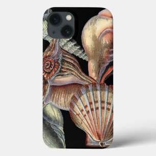 Schätze des Meeres Case-Mate iPhone Hülle