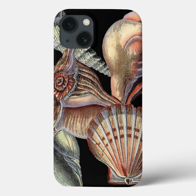 Schätze des Meeres Case-Mate iPhone Hülle (Rückseite)