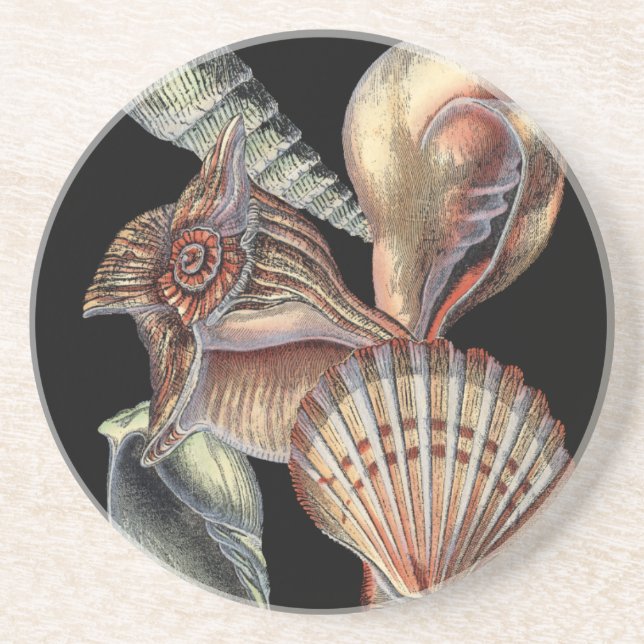 Schätze des Meeres Getränkeuntersetzer (Vorne)