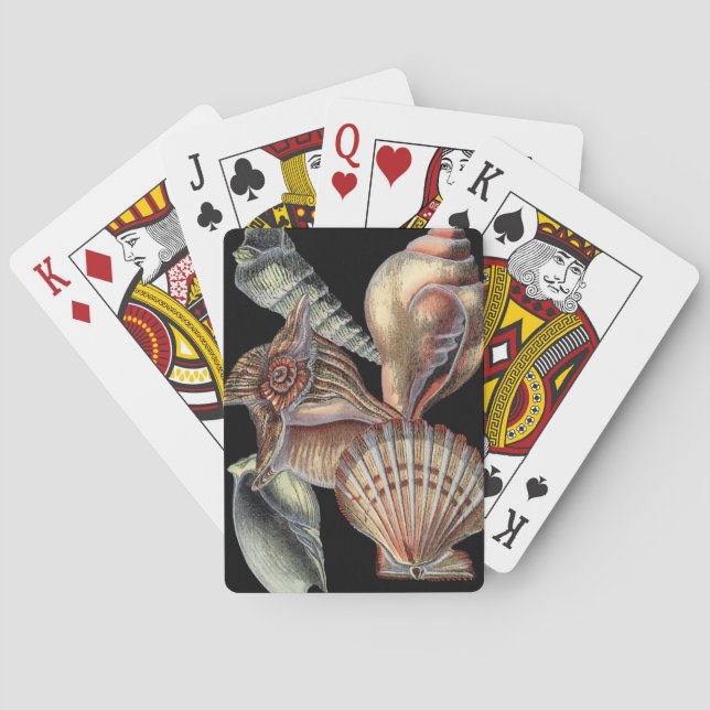 Schätze des Meeres Spielkarten (Rückseite)