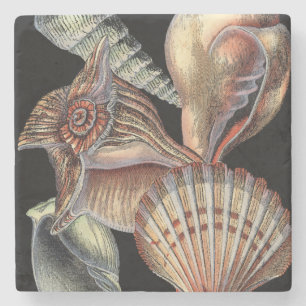 Schätze des Meeres Steinuntersetzer