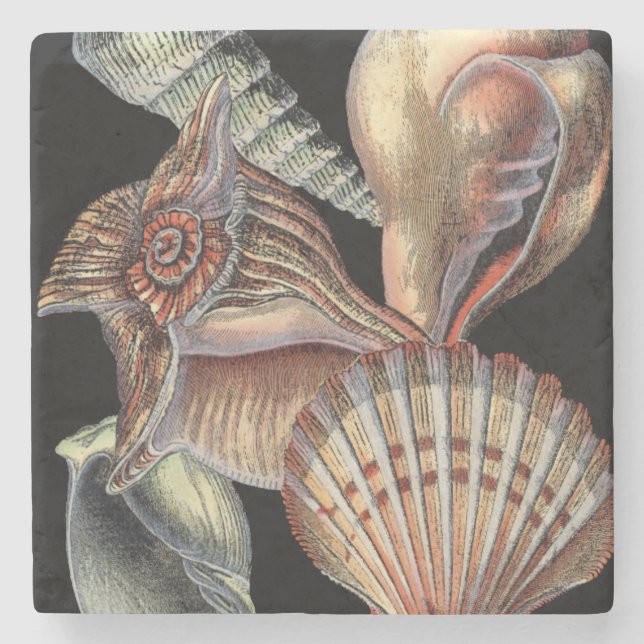 Schätze des Meeres Steinuntersetzer (Vorderseite)