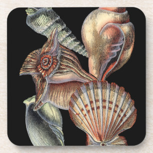 Schätze des Meeres Untersetzer